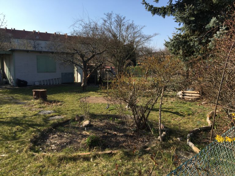 Naturnaher Garten mit Obstbäumen vor der Umgestaltung